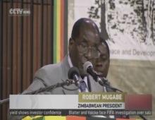 Mugabe condemns Arab Spring