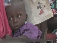 Some 50 000 children could starve in Nigeria's Borno State-UN