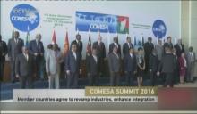 Summit of Common Market for Eastern and Southern Africa underway in Madagascar