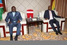 Namibia, Guinea pledge to work together to address challenges facing the continent