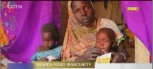 Agencies warn of 'mass exodus' as starvation grips Nigeria