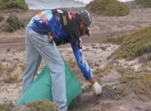 Swakopmund residents launch a clean-up campaign