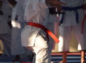 Karate not a violent sport