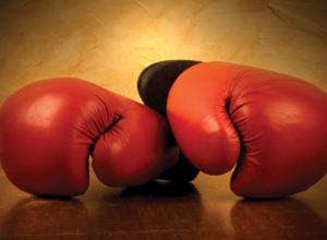 Namibian Boxers dominate "Champions in action