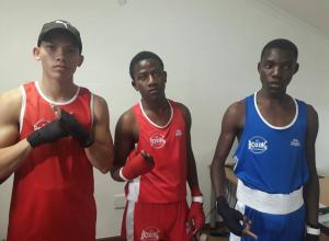 Namibian Boxers ready for Algeria