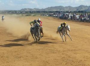 Kaondeka's Bring Me More steals show at Okahandja Horse racing