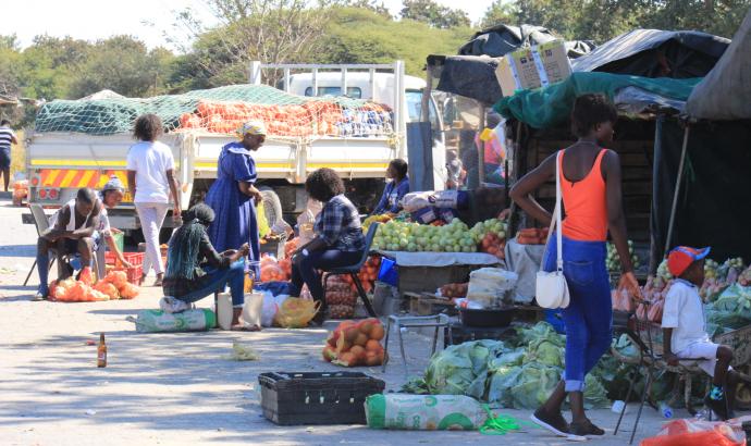 Namibia's fruit and vegetables import dependency to reduce 