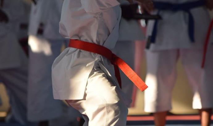 Karate not a violent sport