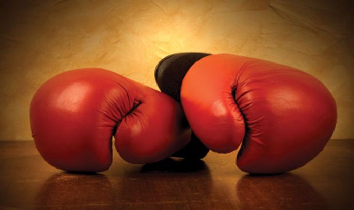 Namibian Boxers dominate "Champions in action