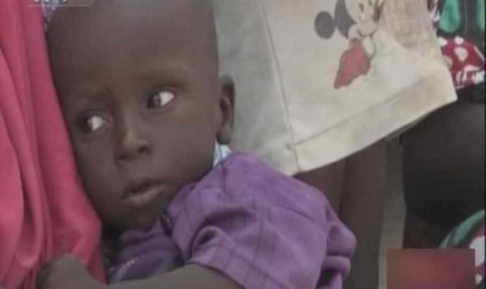 Some 50 000 children could starve in Nigeria's Borno State-UN