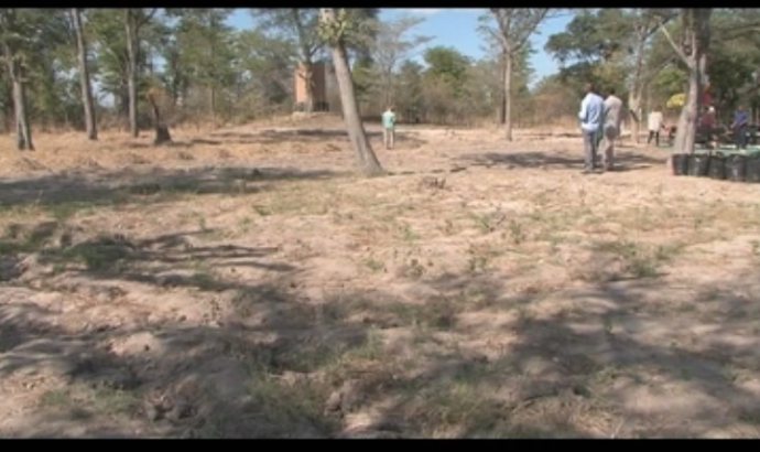 Land degradation and desertification a concern for Namibia 