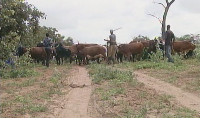 New minimum wage for farm workers set at N$1 400 per month 