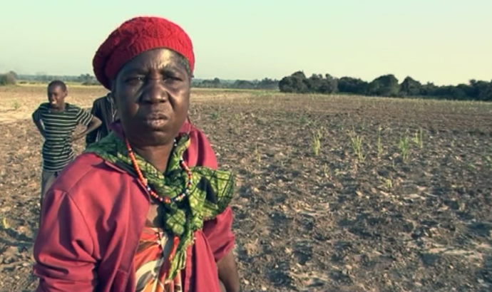 Swarms of locusts destroy crops in Kavango East and West