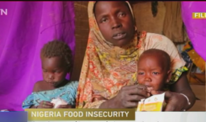 Agencies warn of 'mass exodus' as starvation grips Nigeria