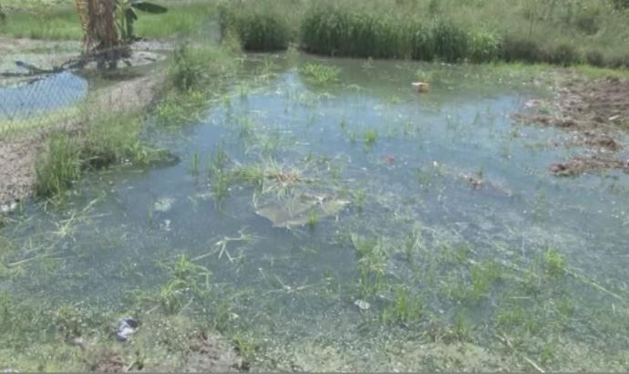 Bukalo Village Council called to address overflowing sewerage in residential areas