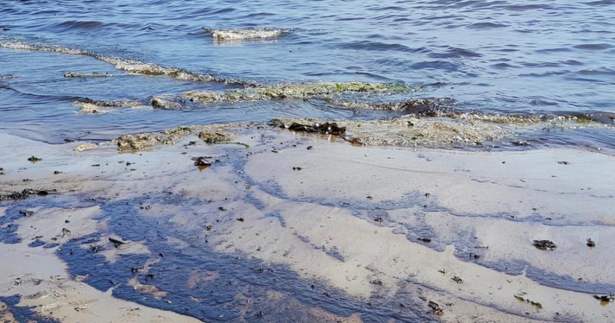 Source of Afrodite Beach oil spill still unknown | nbc