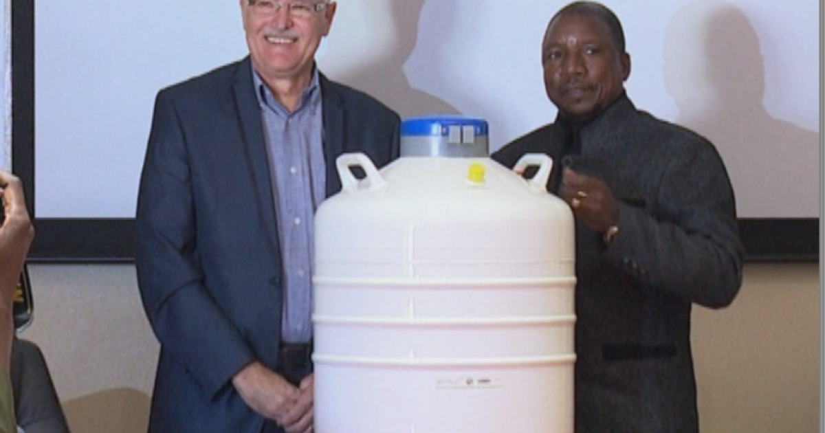 Local farmer donates Bonsmara semen straws nbc