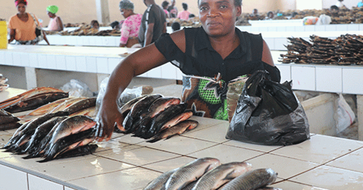 Katima Mulilo fish mongers happy with extended fishing season | nbc